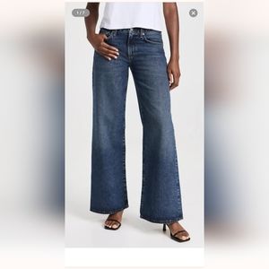Brand New Agolde Low Rise Baggy Jeans